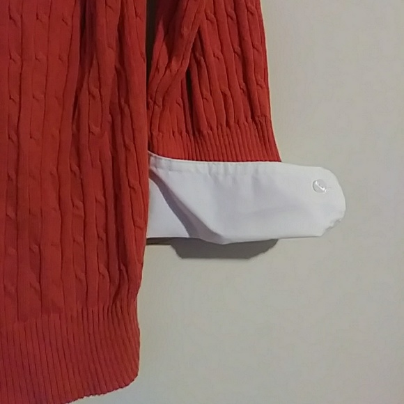 Cato - Picture 4 of 4